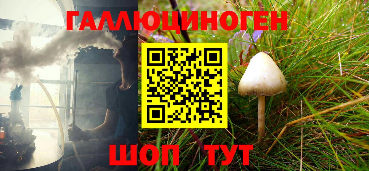 Галлюциногенные грибы Psilocybe  Вход с VPN  Кулебаки 